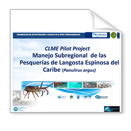 CLME PROJECT